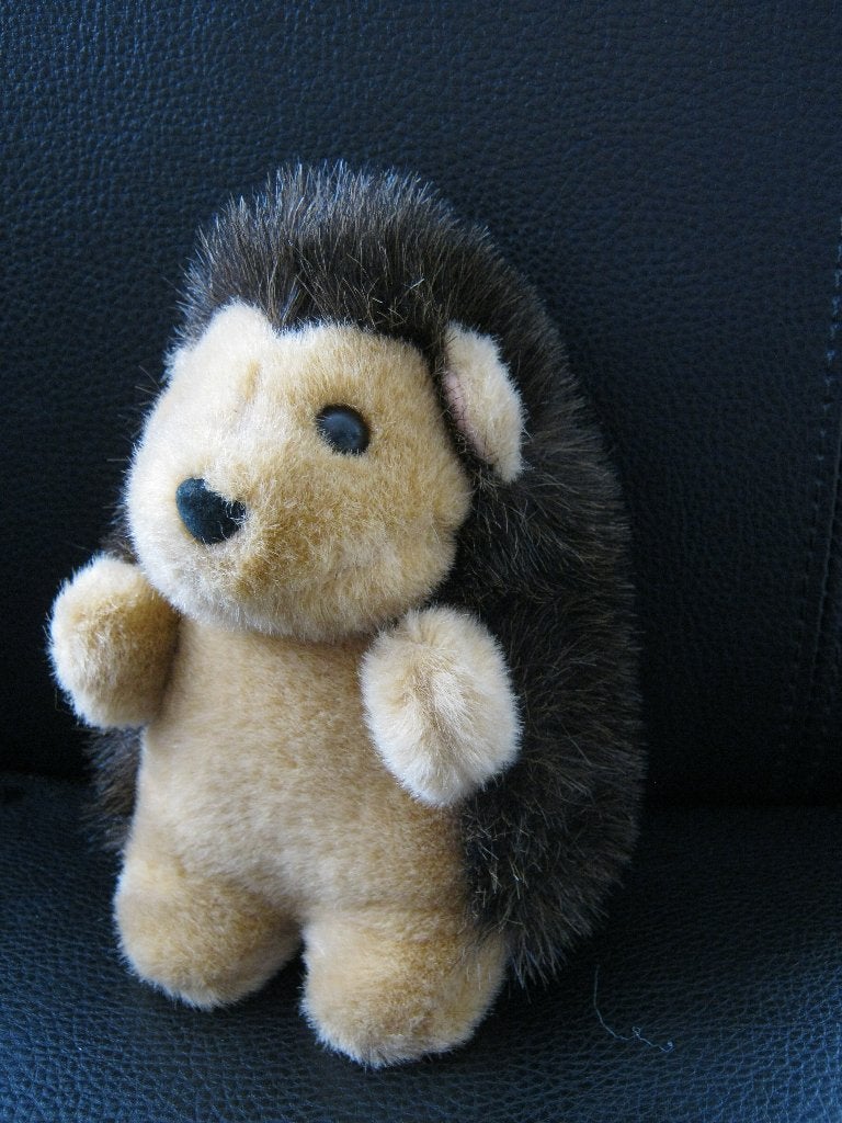 knuffel egel 18 cm 3,50, Ophalen of Verzenden, Zo goed als nieuw, Overige typen