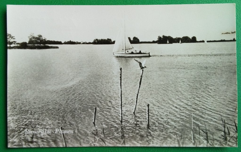 Reeuwijkse plassen 1956 klf, Verzenden, 1940 tot 1960, Gelopen, Zuid-Holland
