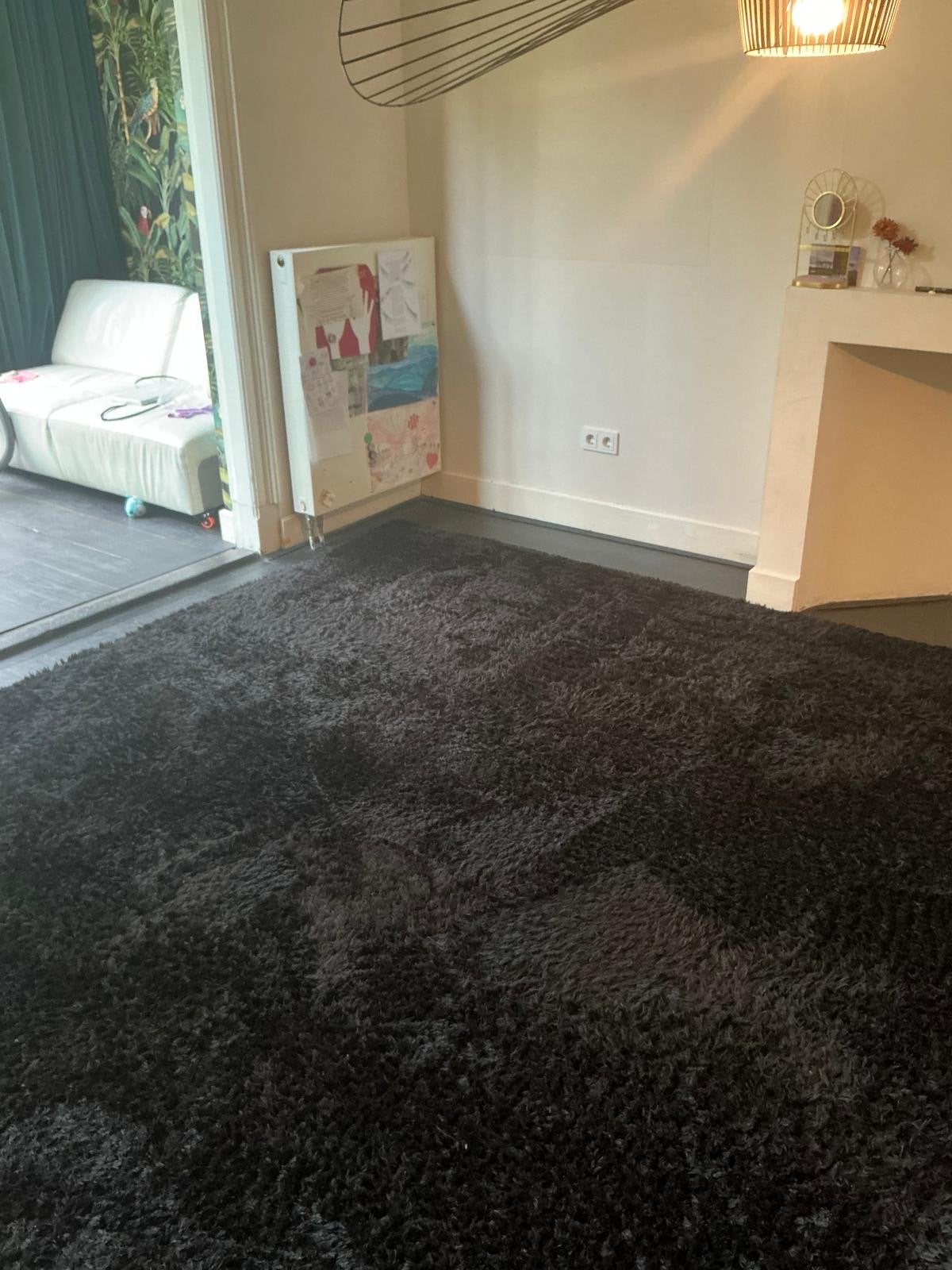 Zwart hoogpolig vloerkleed - 300x400, Ophalen, Gebruikt, Zwart, 200 cm of meer