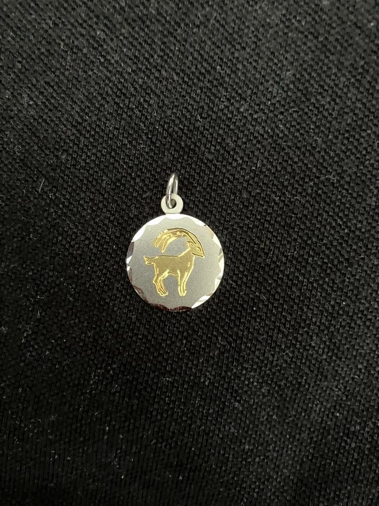 Sterrenbeeld steenbok zilver met goud ingelegd., Ophalen of Verzenden, Zo goed als nieuw, Zilver, Goud