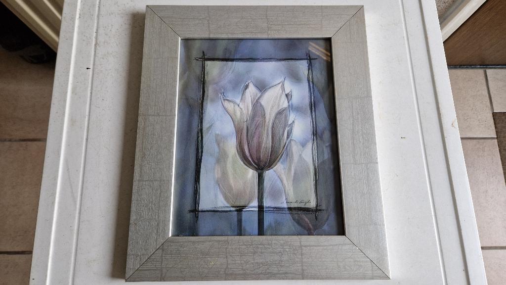 schilderij aluminium tulp, Ophalen of Verzenden