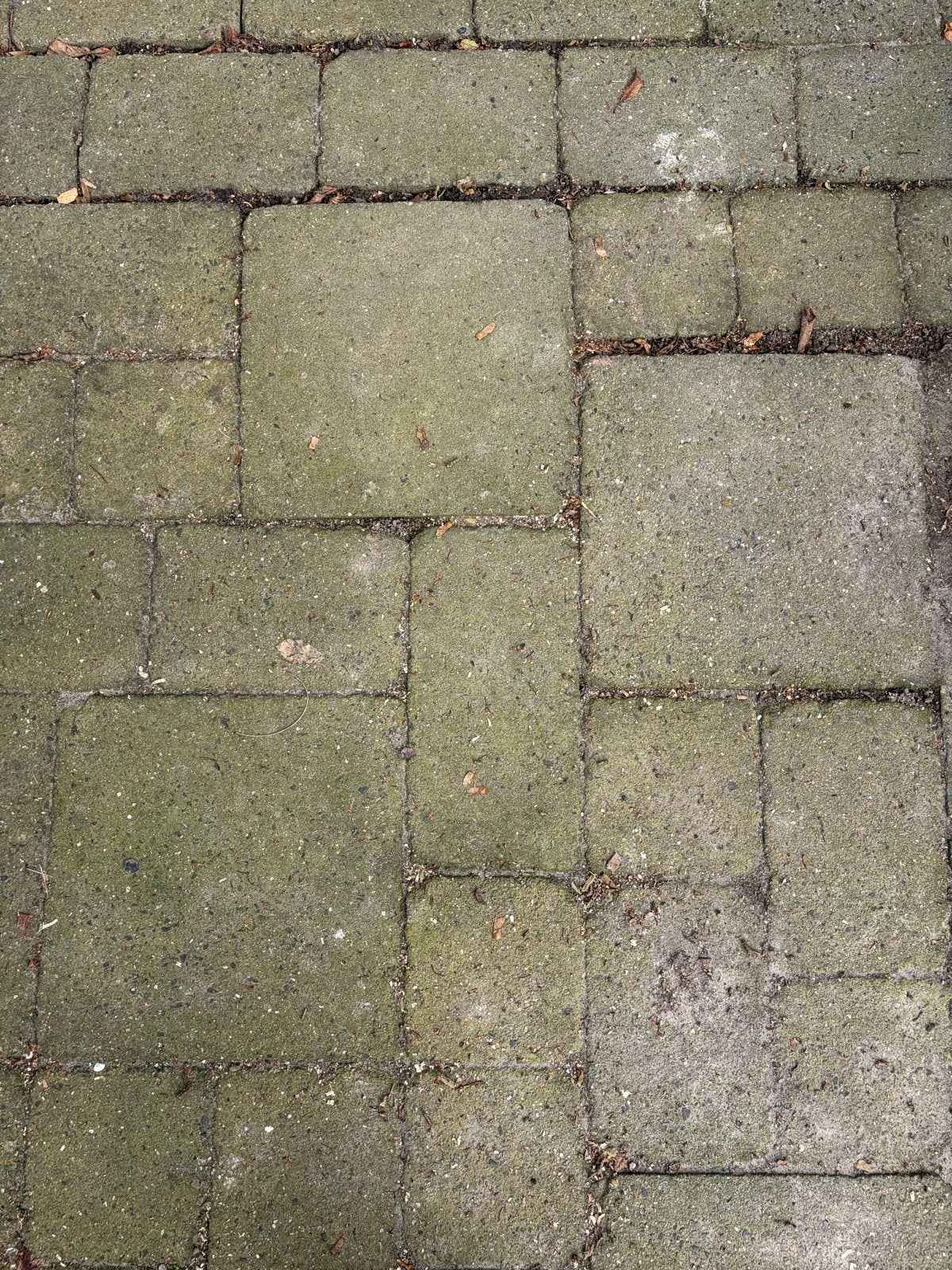 Gratis terrastegels - Ophalen in overleg, Gebruikt, Ophalen of Verzenden, 10 m² of meer, Beton