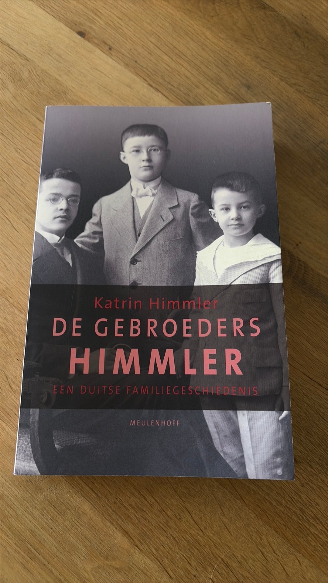 De Gebroeders Himmler - Katrin Himmler, Boeken, Gelezen, 19e eeuw, Europa, Ophalen of Verzenden