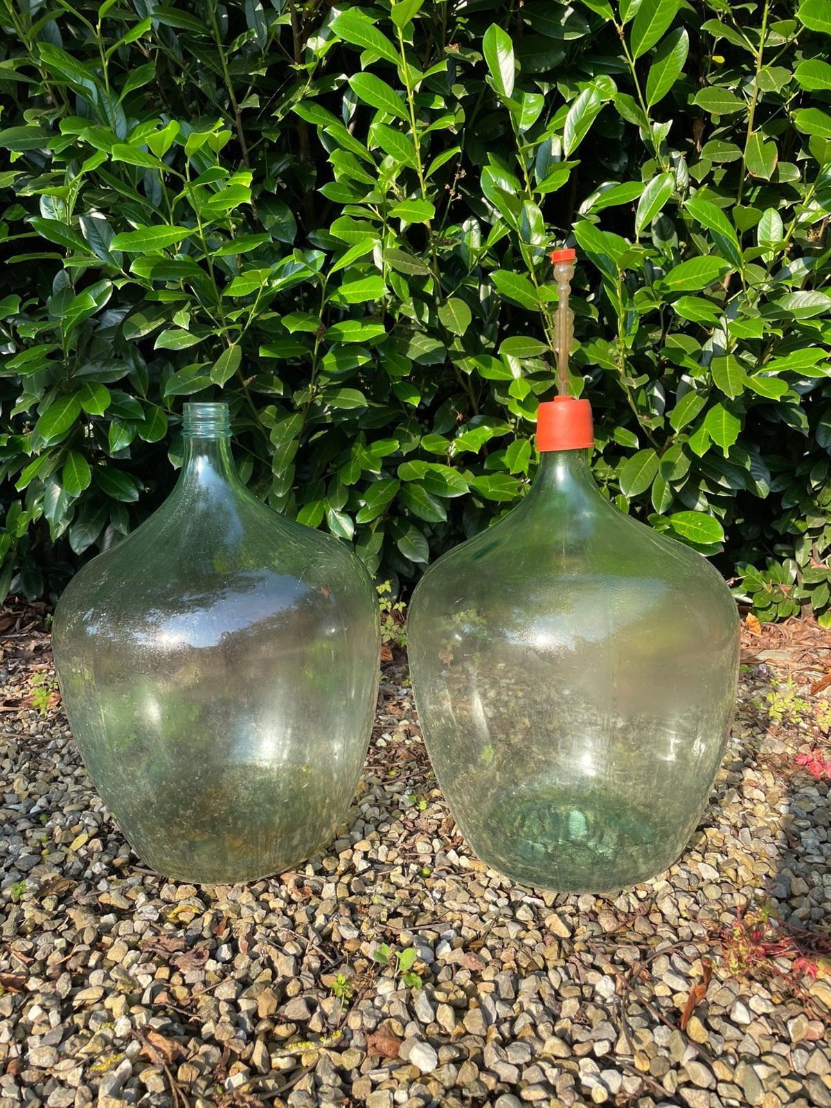 2 grote wijnfles bottelfles gistfles gistvaas bottevaas wijn, Ophalen