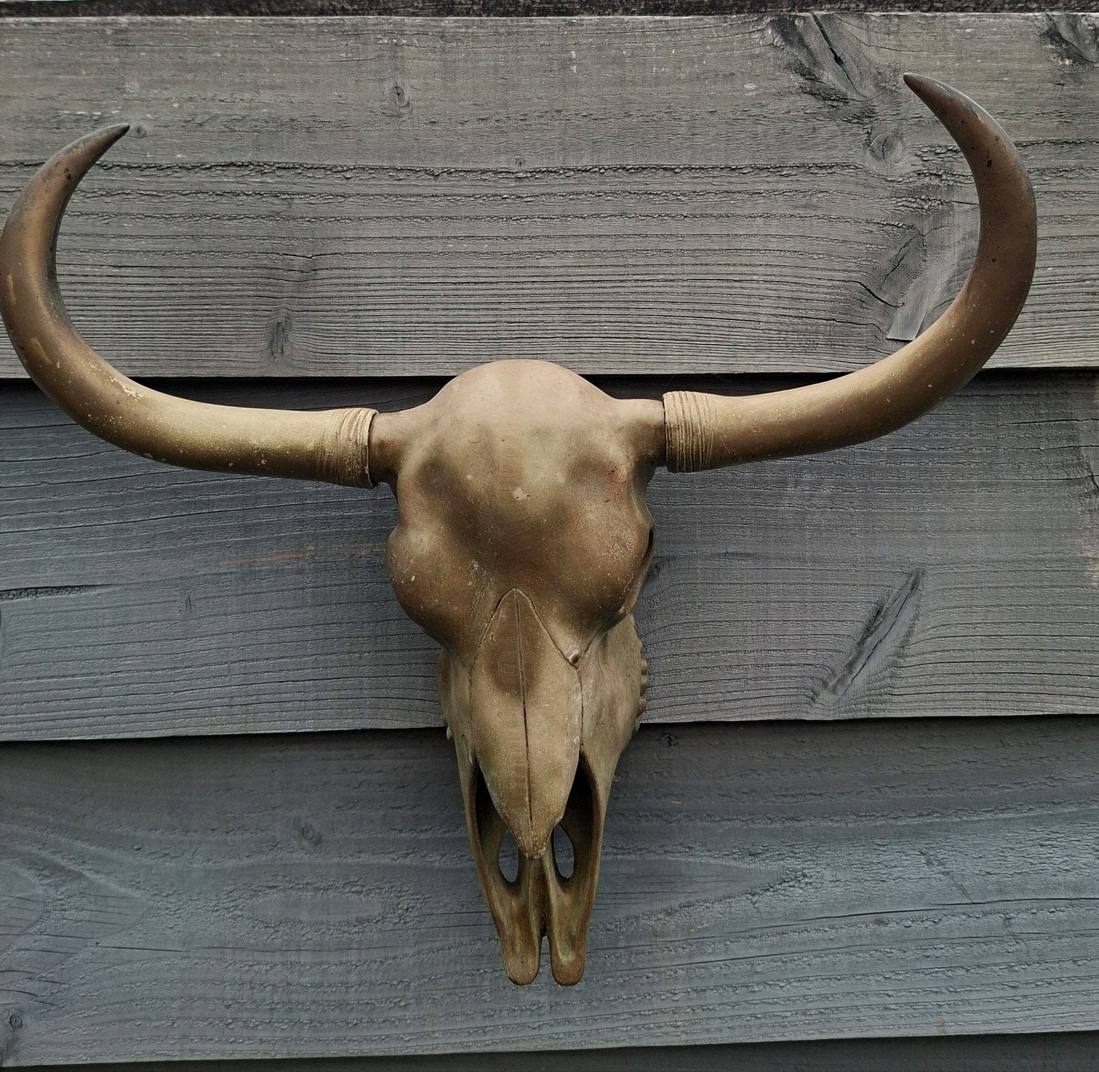 Polystone Koeienschedel met Hoorns - Wanddecoratie, Ophalen, Gebruikt, Landelijk, Composieten