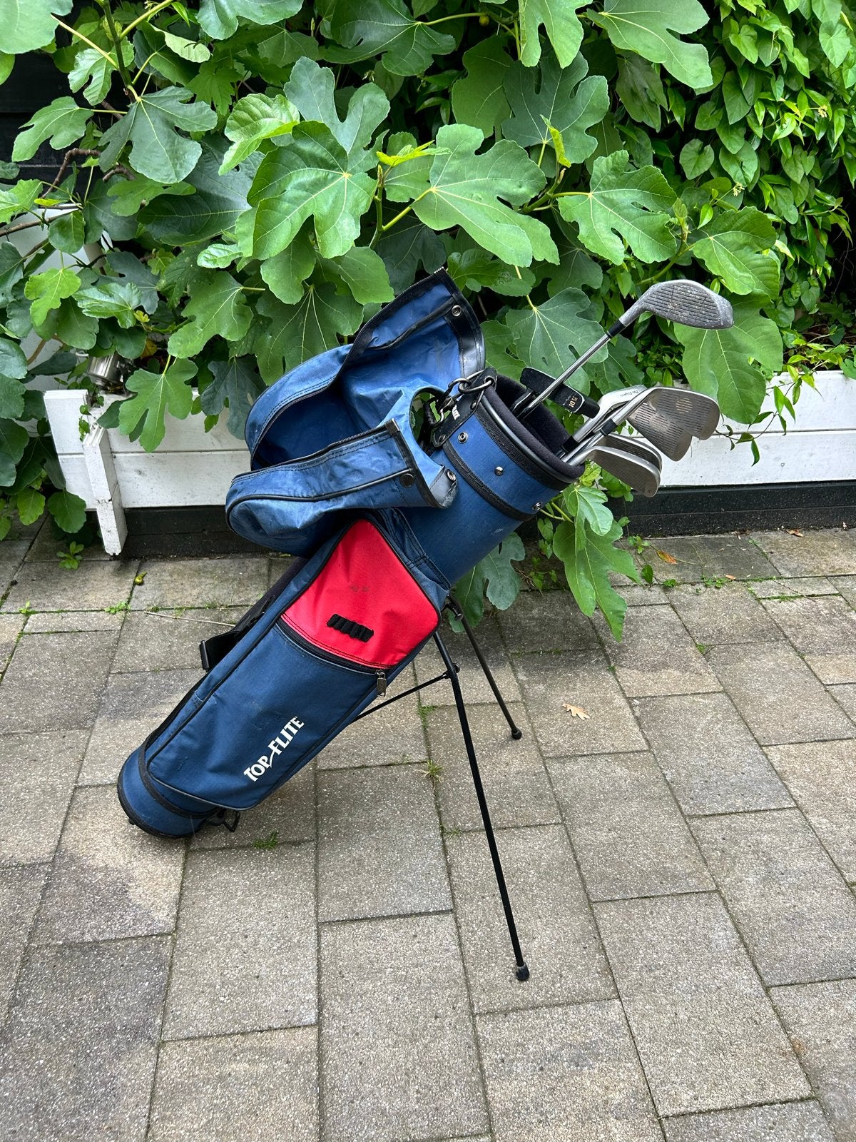Top-Flite Golfset voor beginners/junioren met draagtas, Ophalen, Gebruikt, Set, Overige merken