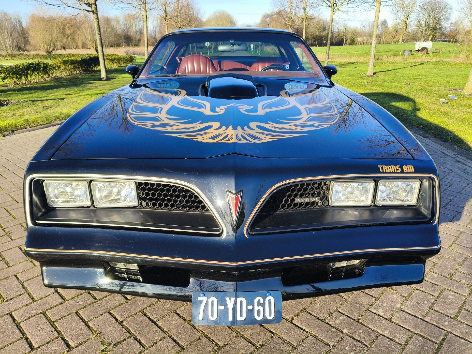 Pontiac Firebird TRANS AM (bj 1977, automaat), Auto's, Oldtimers, Automaat, Pontiac, 7766 cc, Zwart