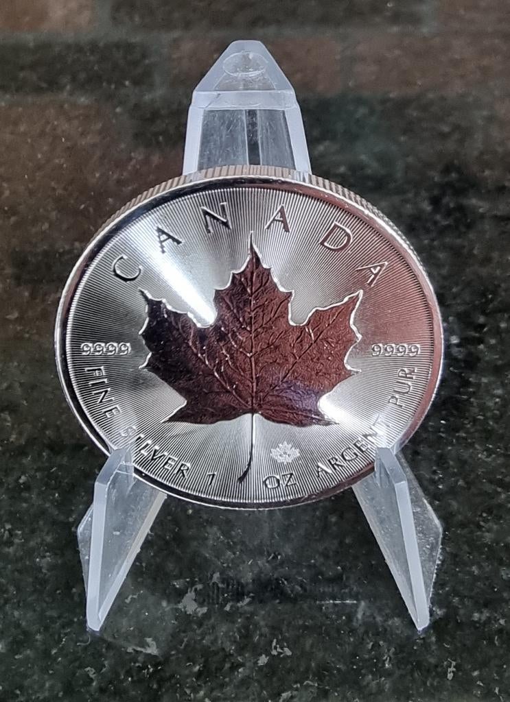 Tube Maple Leaf 25 x 1 oz .9999 zilveren munten., Ophalen of Verzenden, Zilver