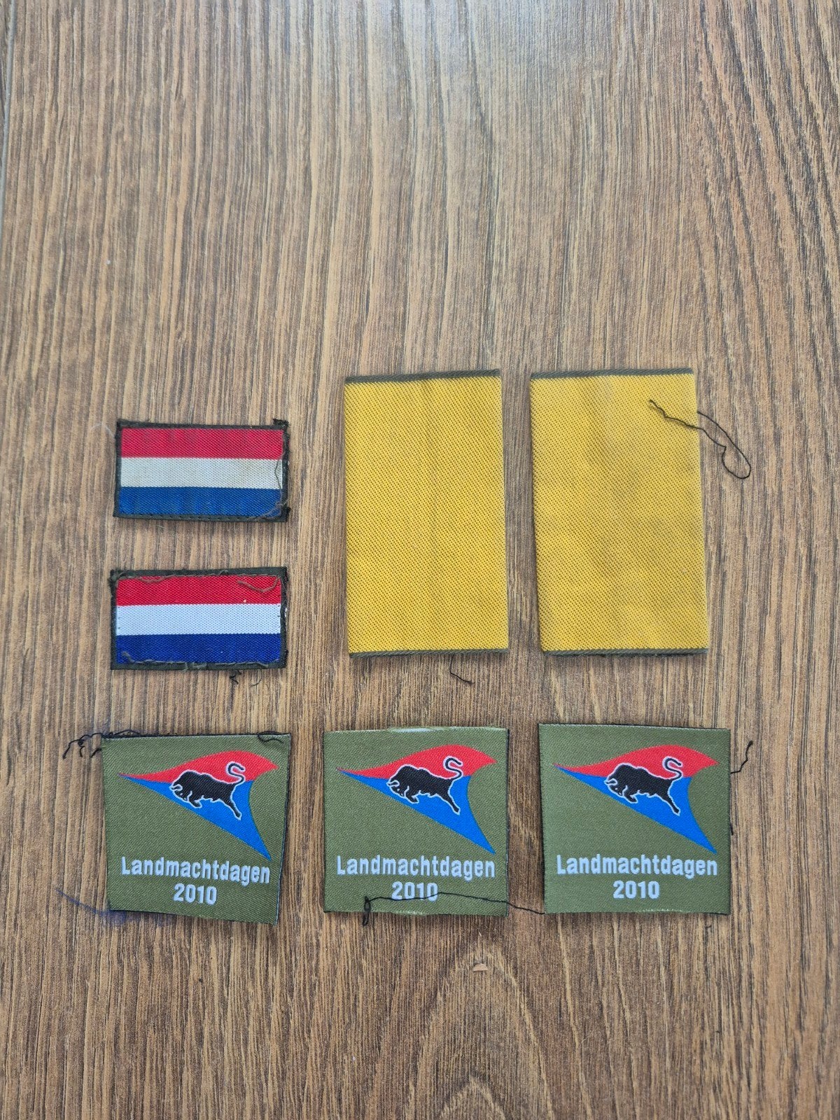 Emblemen Landmacht, Landmachtdagen 2010, Ophalen of Verzenden, Landmacht, Nederland, Embleem of Badge
