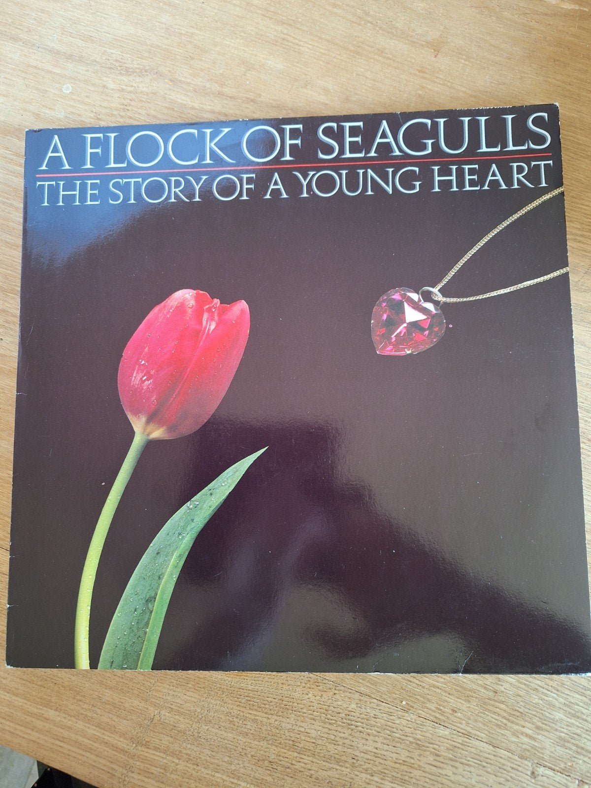 a flock of seagulls, Ophalen of Verzenden