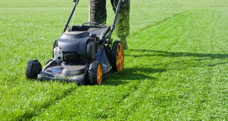 Hovenier gezocht, Diensten en Vakmensen, Tuinmannen en Stratenmakers