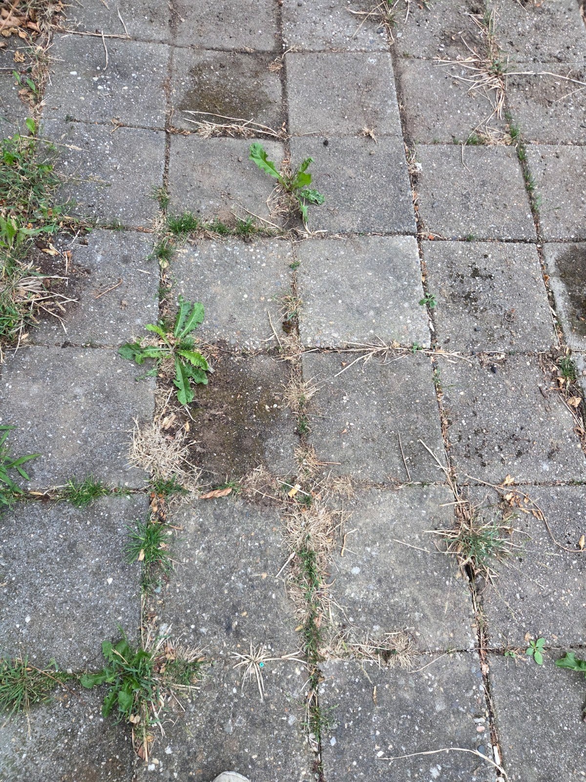 Gratis af te halen: 30x30 tegels en 40x60 grindtegels, Doe-het-zelf en Verbouw, Tegels, Ophalen, Gebruikt, Overige typen, 20 tot 40 cm