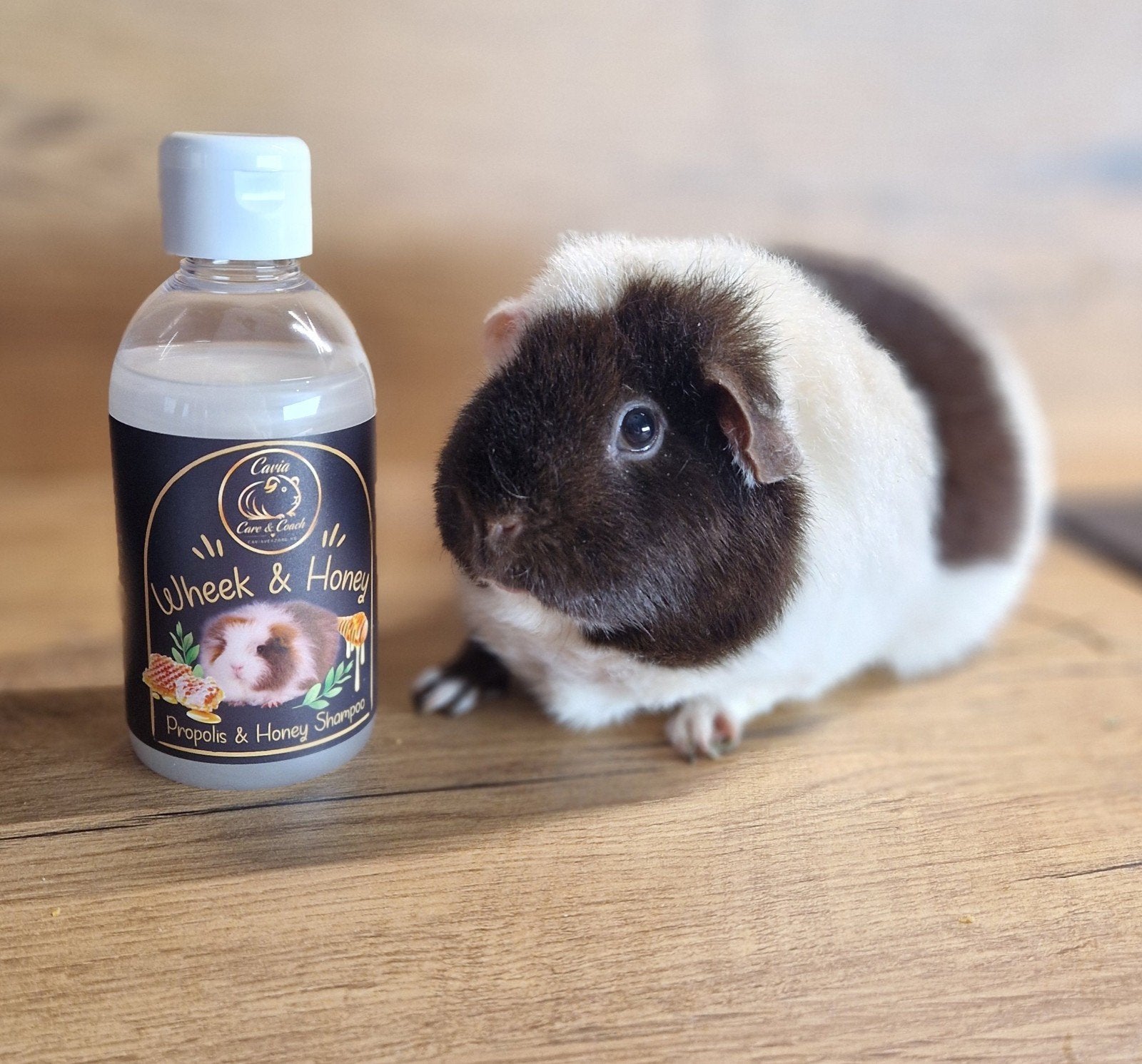 cavia shampoo, Ophalen of Verzenden, Nieuw, Verzorging