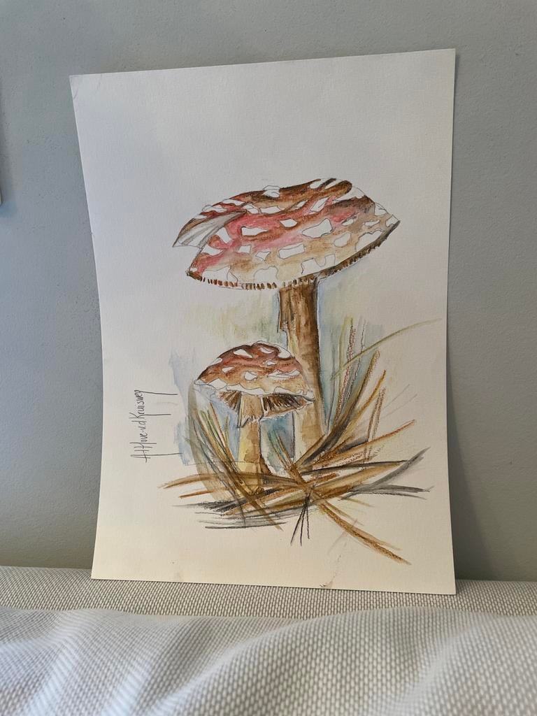 Aquarel tekening paddenstoelen A4, Ophalen of Verzenden
