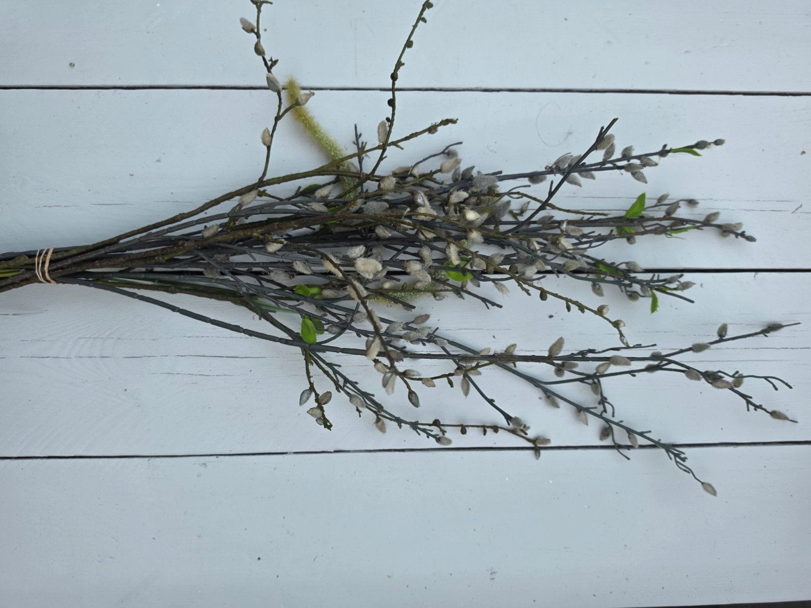 kunstbloemen katjes, Ophalen of Verzenden, Volle zon, Overige soorten