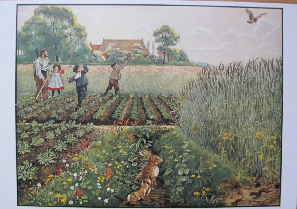 Cornelis Jetses - Junimorgen in de bouwlanden, Verzamelen, Verzenden, 1980 tot heden, Ongelopen, Overige thema's