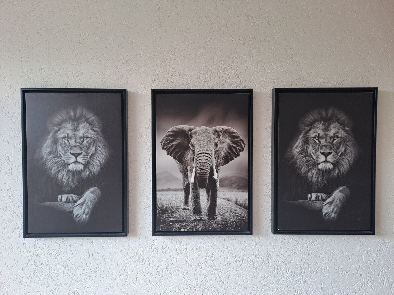 Dieren schilderij/canvas met lijst - Leeuw/olifant, Ophalen, Zo goed als nieuw, Schilderij