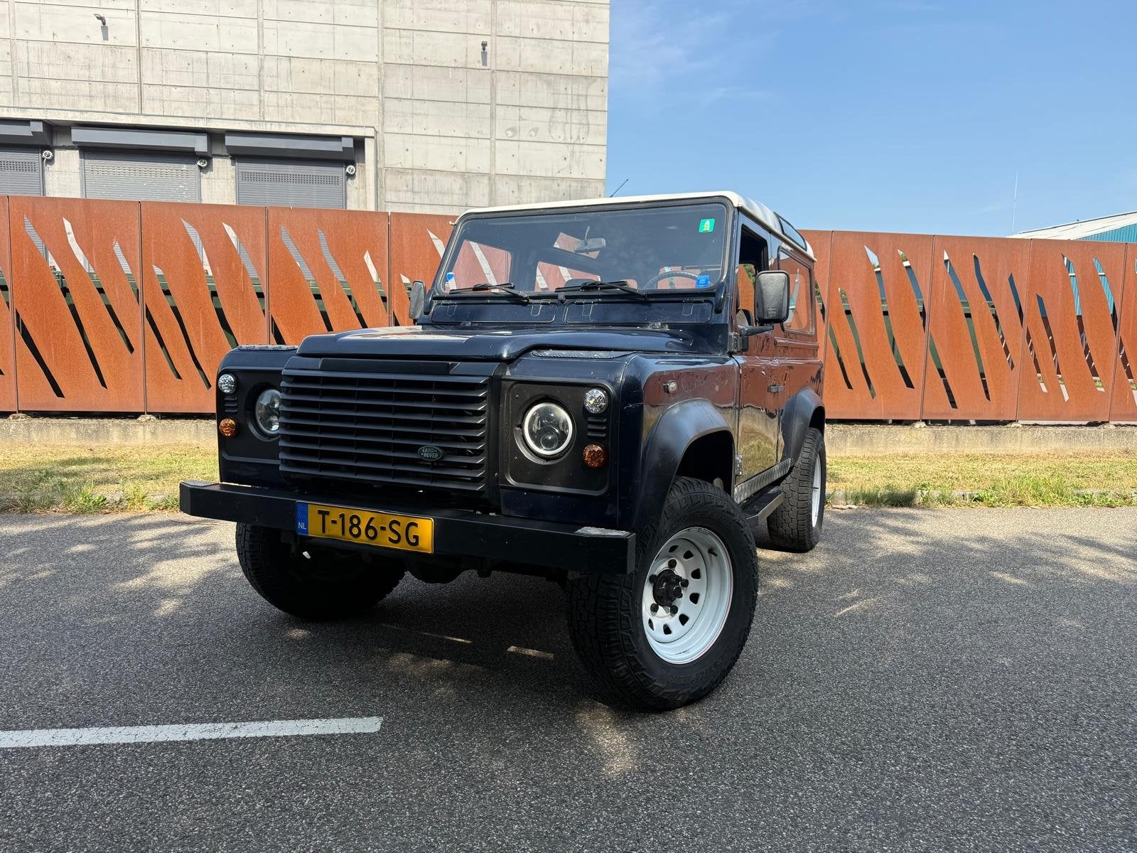 Land Rover Land Rover ., 136 pk, Land Rover, Bedrijf, Vierwielaandrijving