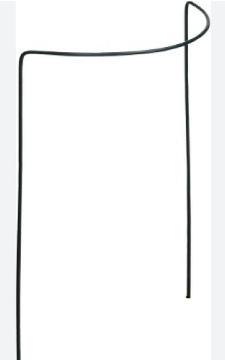 Metalen Plantensteun 100x40 cm - Ideaal voor Klimplanten, Ophalen