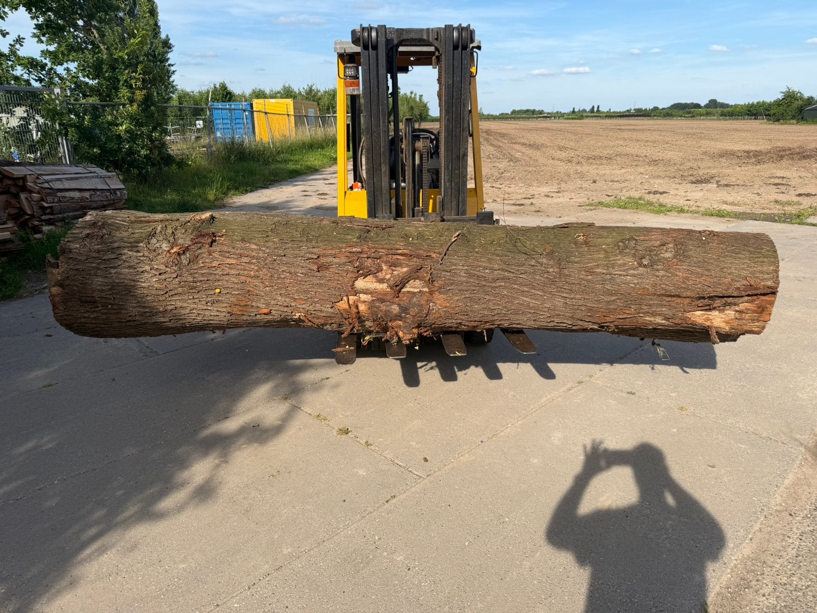 Mooie iepen stam 340x70cm, Minder dan 3 m³, Ophalen