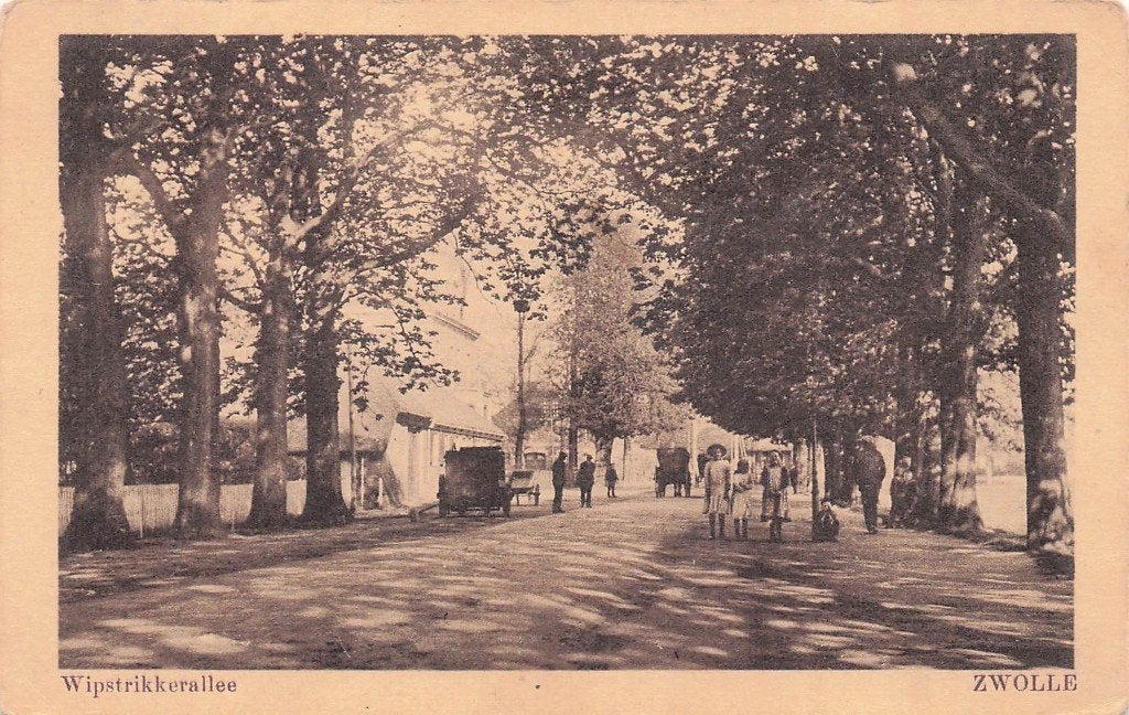 Zwolle - Wipstrikkerallee (geanimeerd) rond 1920, Ophalen of Verzenden, Voor 1920, Gelopen, Overijssel