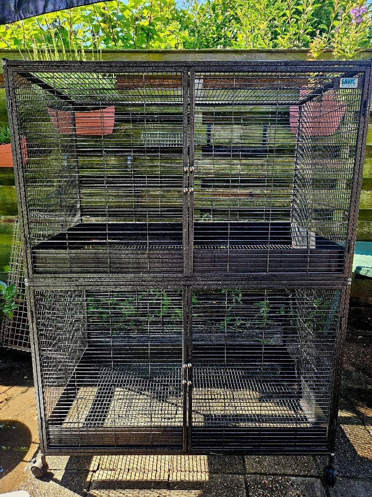 Savic Royal Suite XL rattenkooi, Ophalen, Kooi, Gebruikt, 90 cm of meer