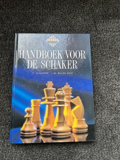 schaken, Ophalen of Verzenden, Minder dan 500 stukjes, Zo goed als nieuw, Schaken
