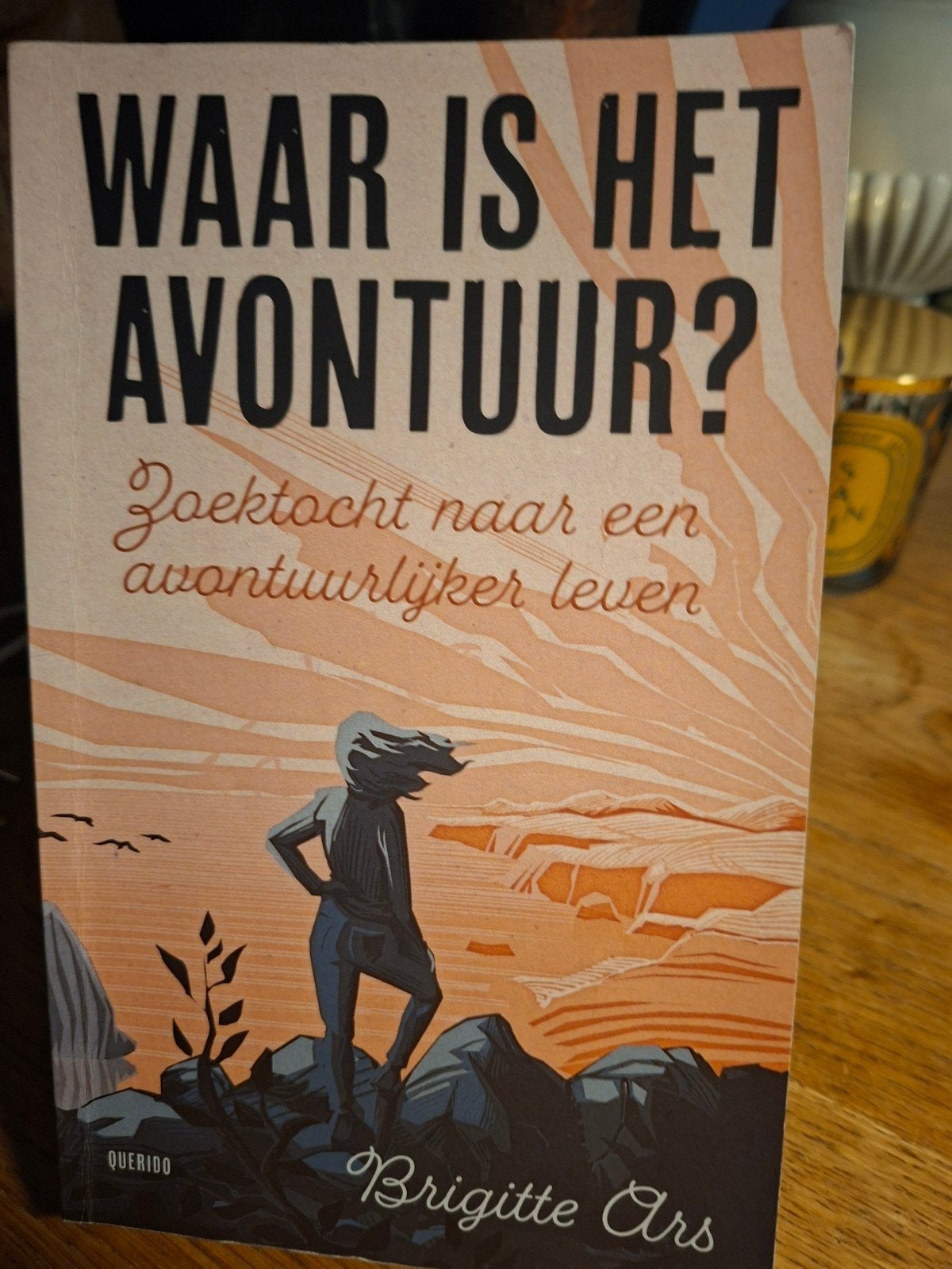 Brigitte Ars - Waar is het avontuur?, Verzenden, Zo goed als nieuw, Brigitte Ars