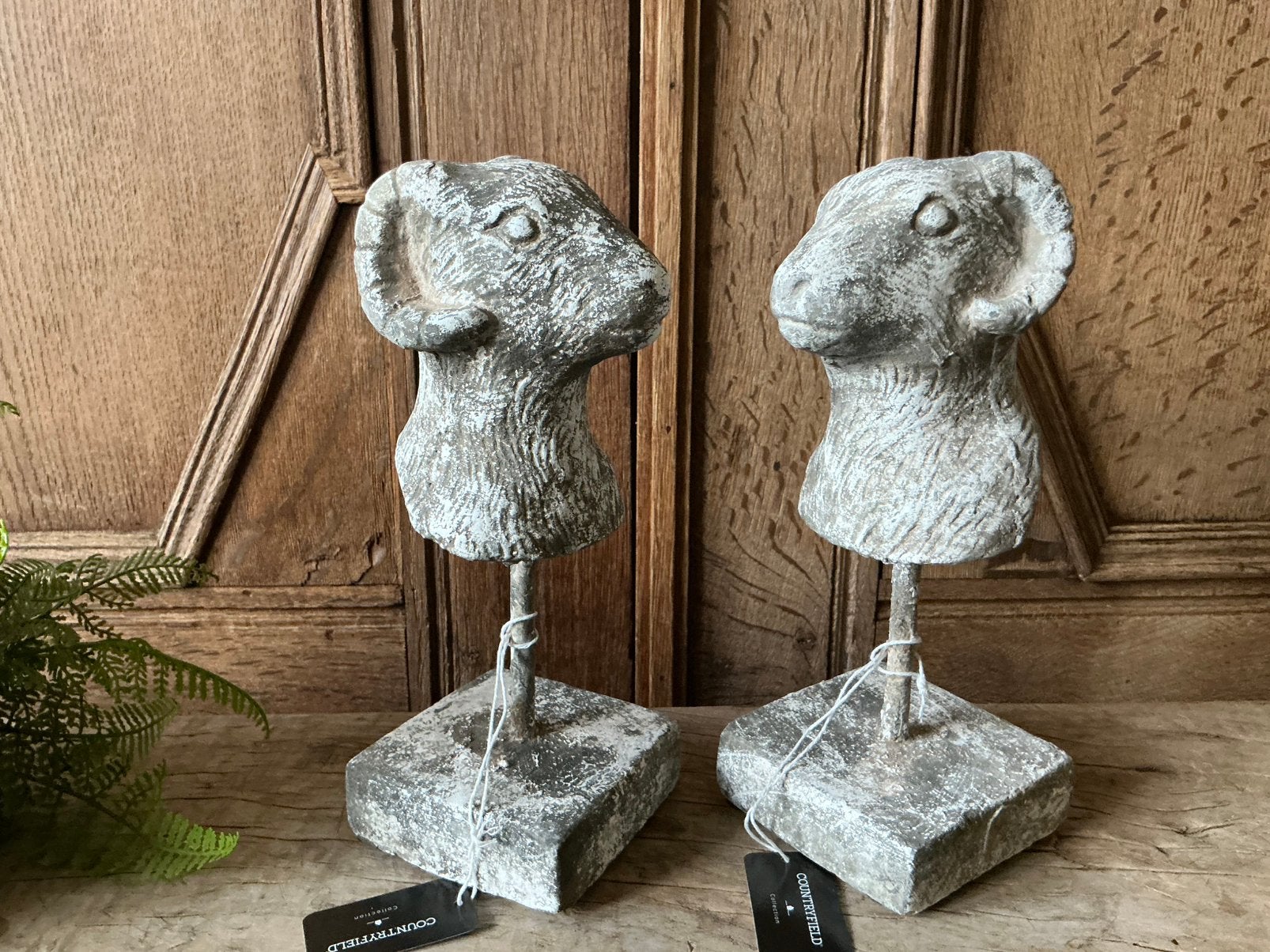 NIEUW Countryfield betonnen ram schaap op voet, Ophalen of Verzenden, Nieuw