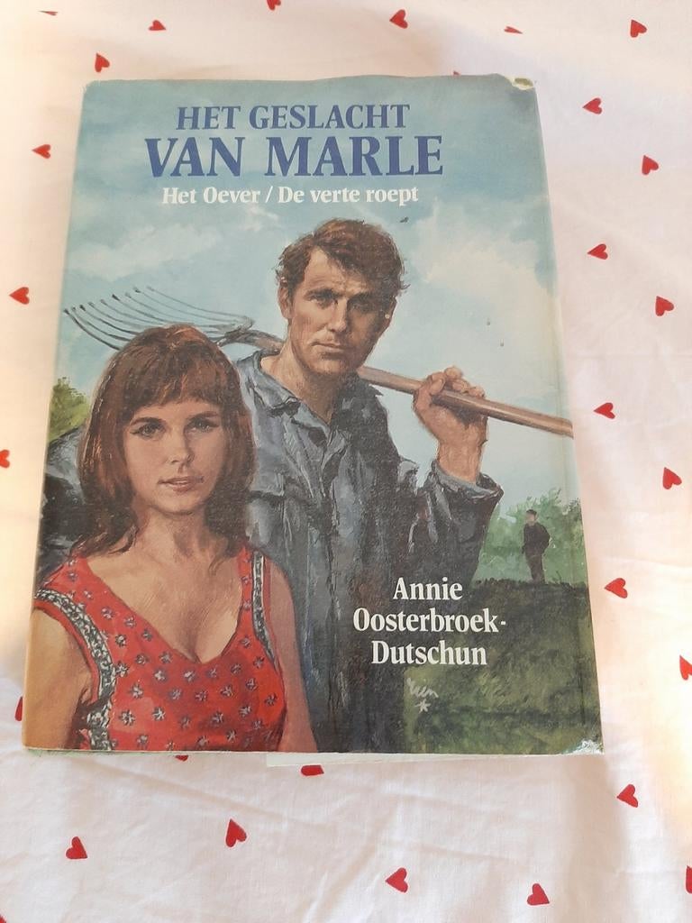 Annie Oosterbroek Streekroma Dutschun Het geslacht Van Marle, Ophalen of Verzenden, Gelezen