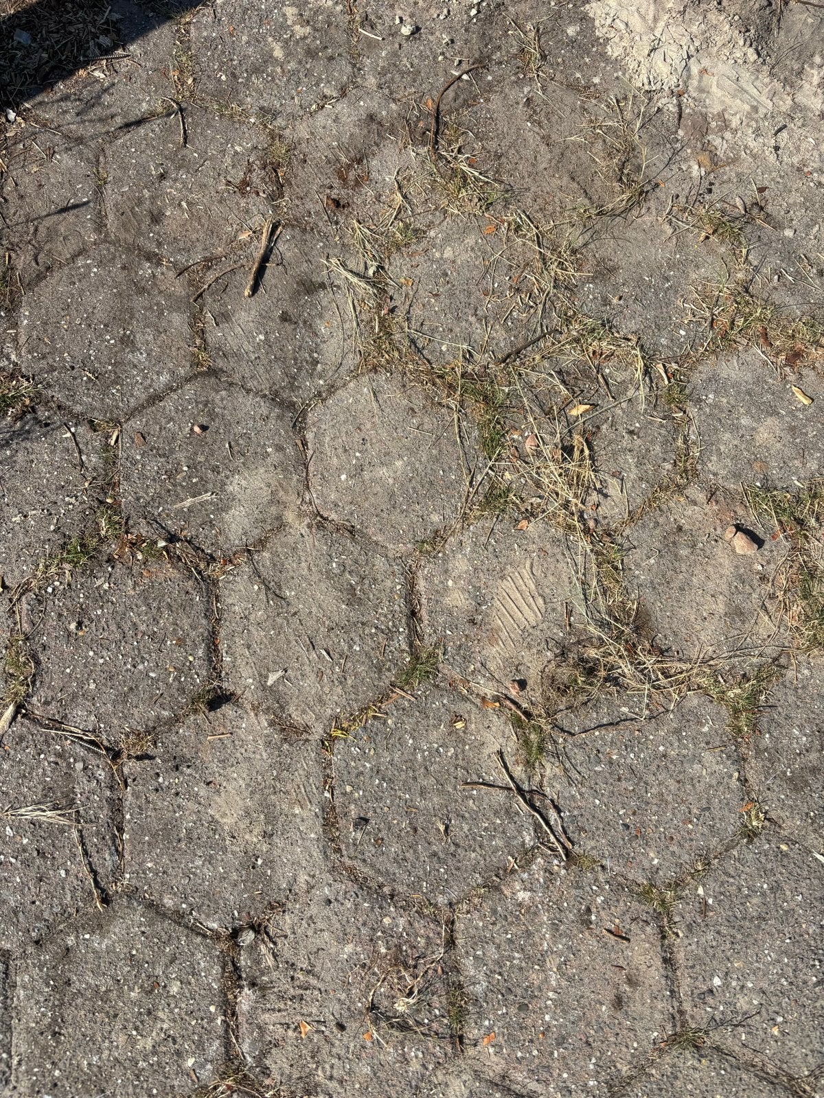 GRATIS: 35m2 gebruikte 6-hoekige betonnen klinkers, Ophalen, Gebruikt, Klinkers, 10 m² of meer