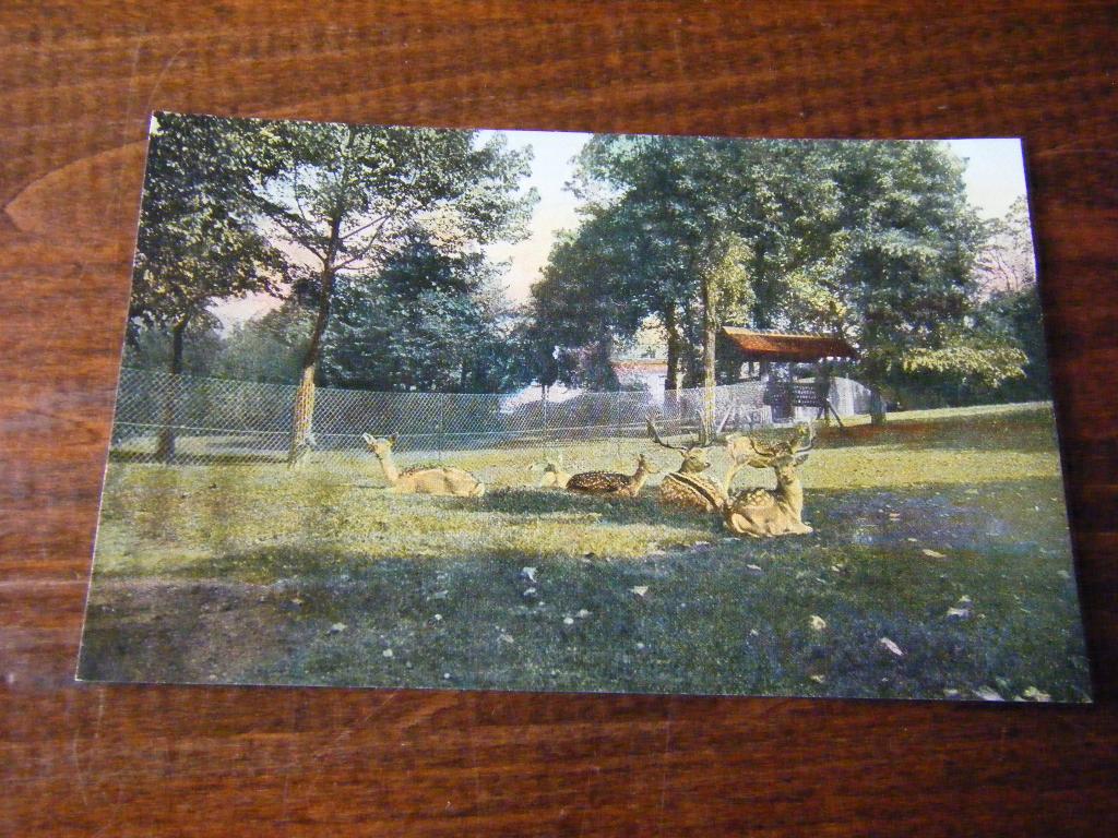 M34 - Nijmegen - Hertenkamp - Mooi/Oud, Ophalen of Verzenden, 1920 tot 1940, Gelderland