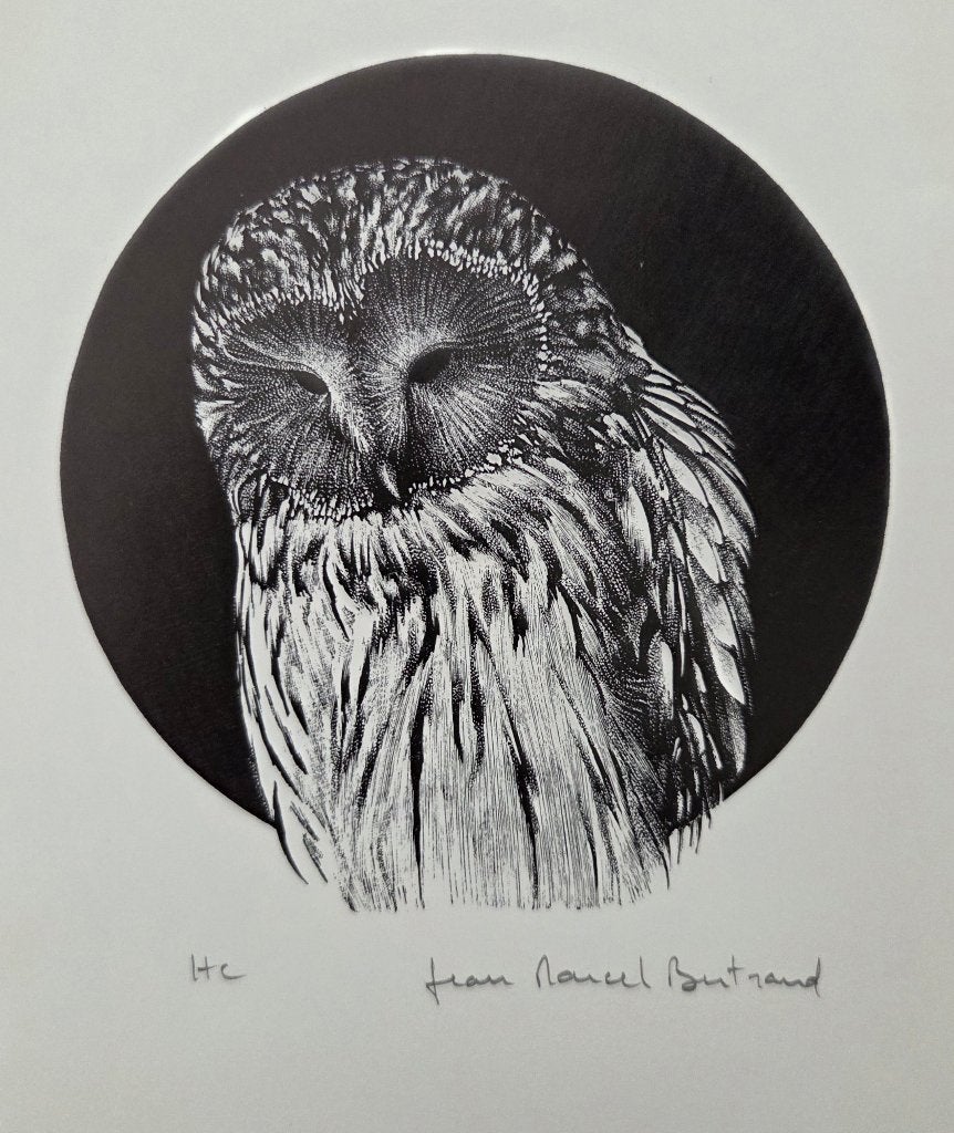 Exlibris / vrije grafiek J.M. Bertrand, oeral-uil, Antiek en Kunst, Verzenden