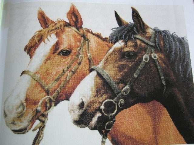 Borduurpatroon  Paarden hoofden  nr 5665, Verzenden, Nieuw, Handborduren, Patroon