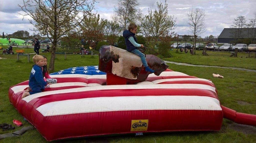 Mulder rodeostier te koop gevraagd, Hobby en Vrije tijd, Ophalen, Zo goed als nieuw, Overige