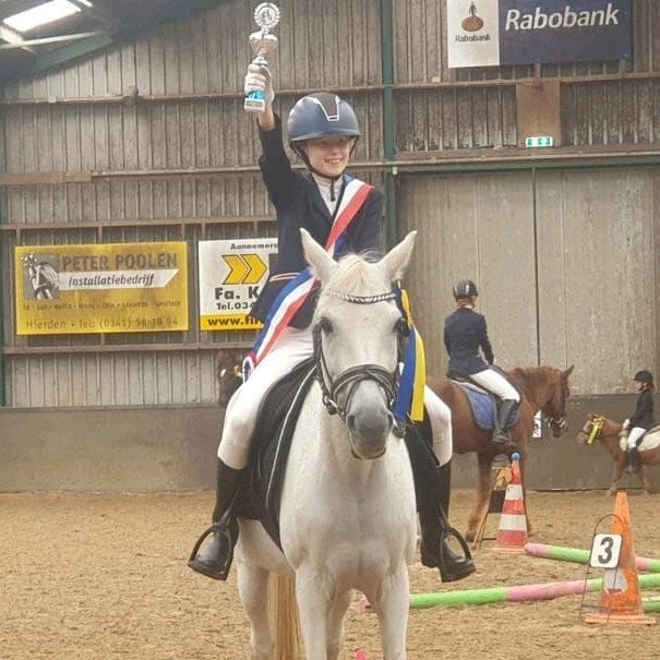 ik zoek een verzorg pony, Ophalen of Verzenden, Nieuw