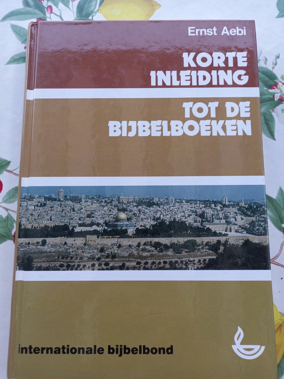 E  E. Aebi - Korte inleiding tot de bijbelboeken, Ophalen of Verzenden, Zo goed als nieuw, E. Aebi, Christendom | Katholiek
