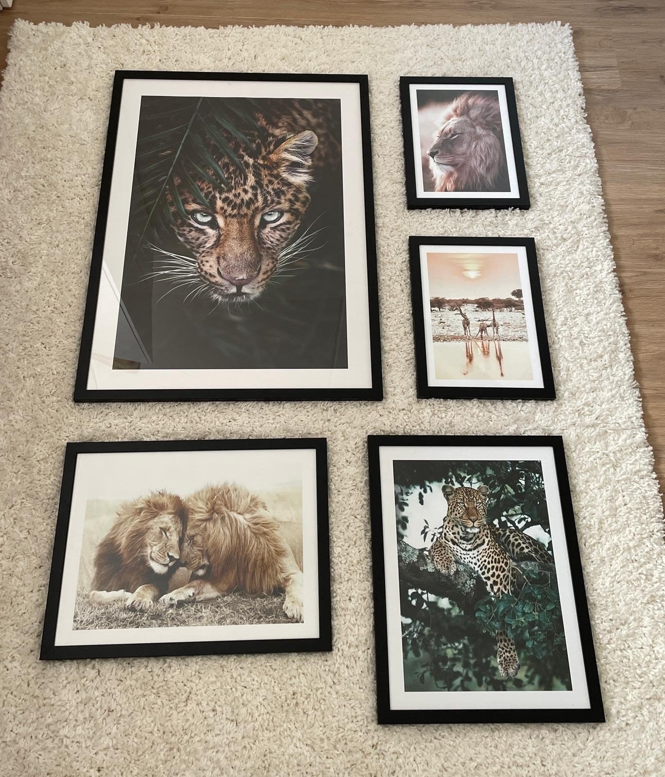 posters, Ophalen, Minder dan 50 cm, Zo goed als nieuw, Foto of Poster
