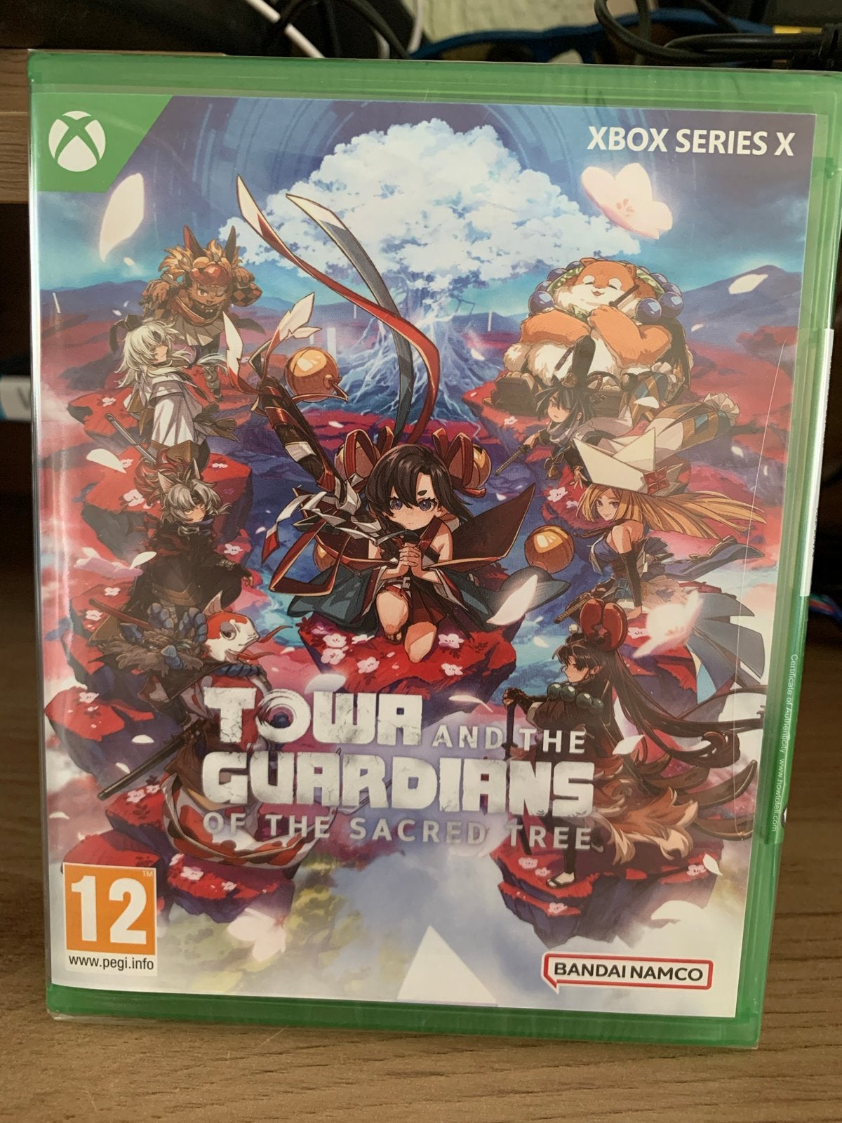 Touhou Genso Wanderer: Lotus Labyrinth R - Xbox Series X