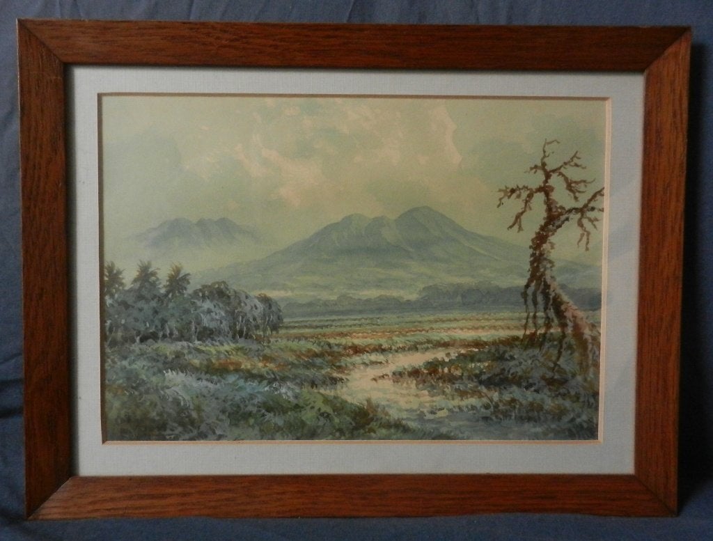 Aquarel Landschap met bergen Indonesië, gesigneerd hxb 29x39, Antiek en Kunst, Gesigneerd, Impressionistisch, Ophalen of Verzenden