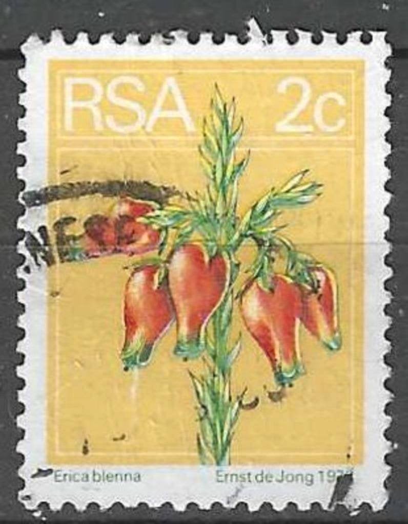 Zuid-Afrika 1974 - Yvert 360 - Erica blenna (ST), Postzegels en Munten, Verzenden, Zuid-Afrika, Gestempeld