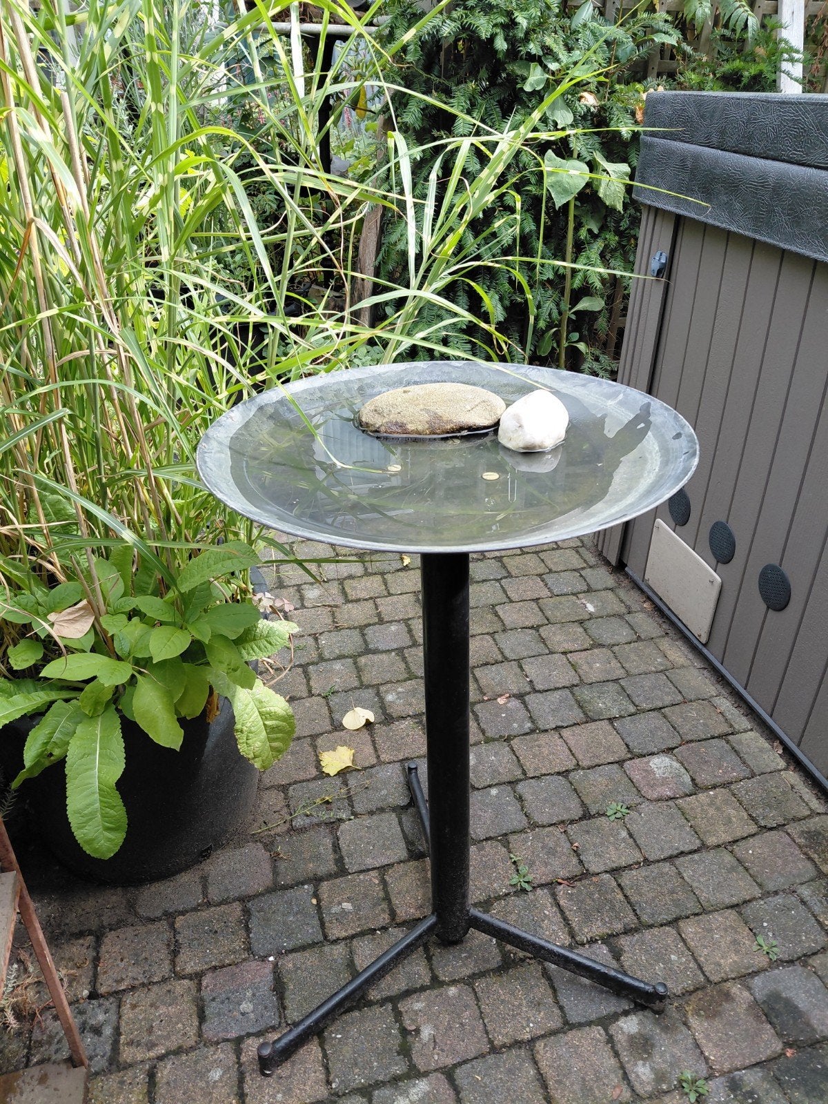 Waterschaal / Vogeldrinkschaal op standaard, Ophalen of Verzenden, Gebruikt