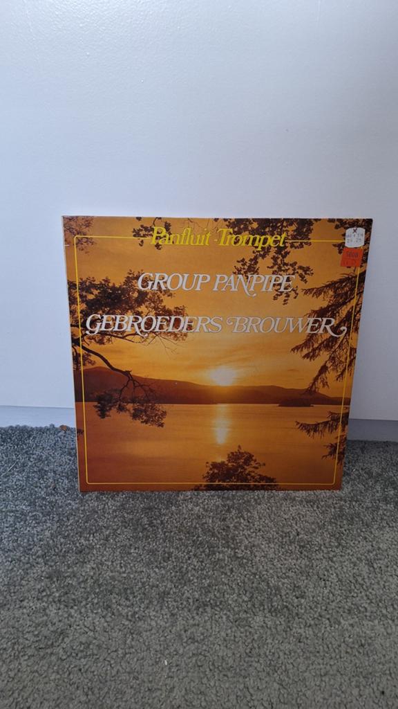 Panfluit Trompet - Group Panpipe Gebroeders Brouwer LP, Cd's en Dvd's, Vinyl | Pop, Gebruikt, Ophalen of Verzenden