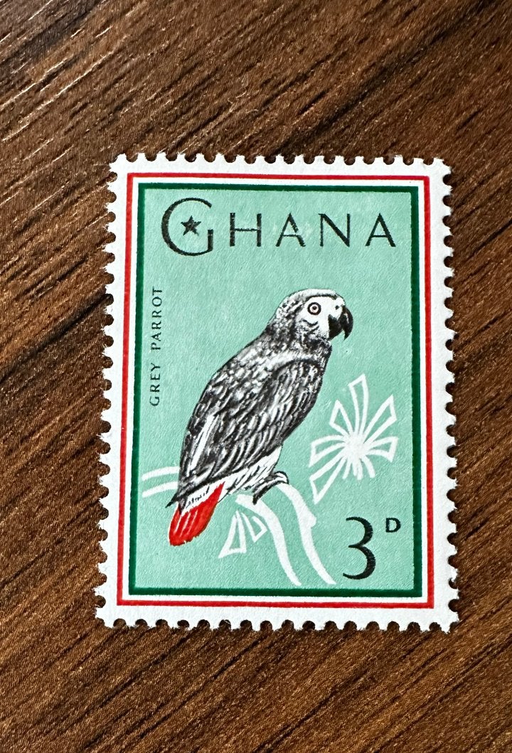 Ghana 1964 postzegel vogels ongebruikt met grijze papegaai, Ophalen of Verzenden, Overige landen