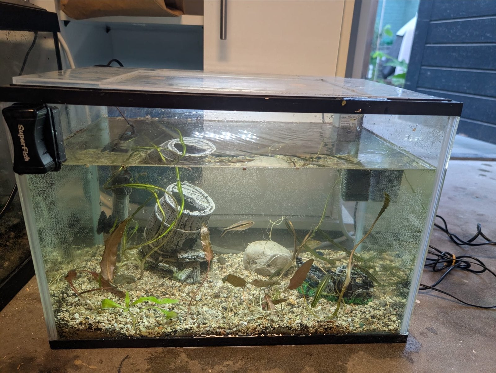 Aquirium with Fish and accesories, Dieren en Toebehoren, Vissen | Aquaria en Toebehoren, Ophalen of Verzenden