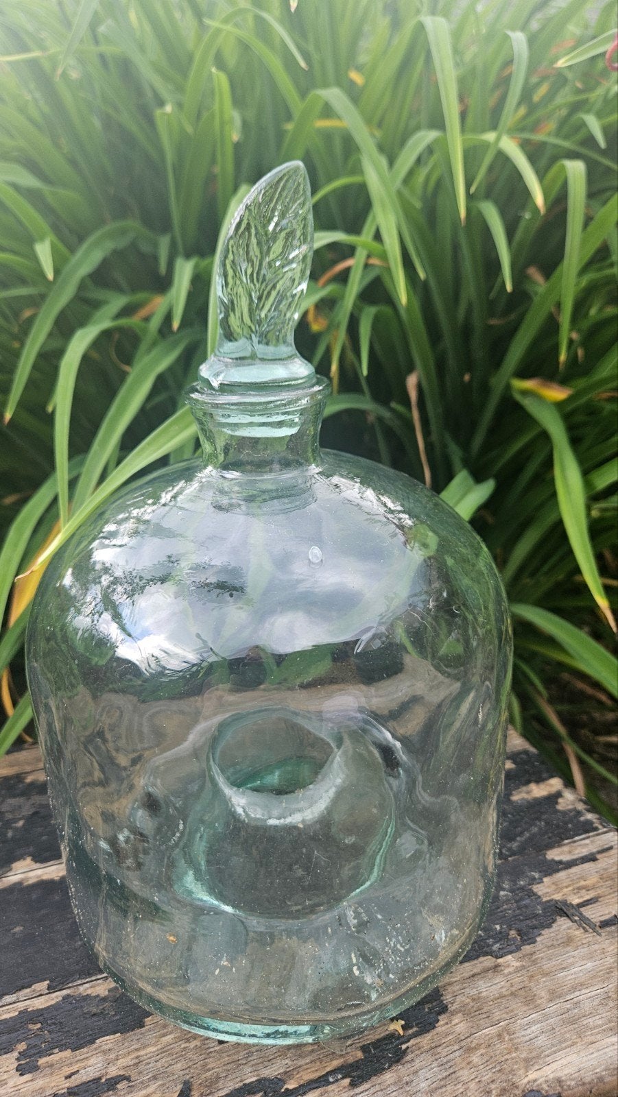 Vintage Glazen Wespenvanger met Bladstop, Tuin en Terras, Ophalen of Verzenden