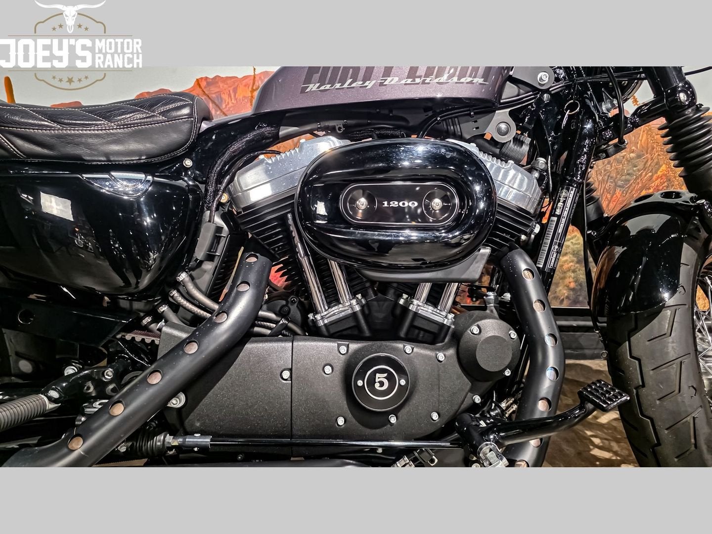HARLEY-DAVIDSON SPORTSTER FORTY-EIGHT XL 1200 X (bj 2015), Motoren, Motoren | Harley-Davidson, 2 cilinders, HARLEY-DAVIDSON, Bedrijf
