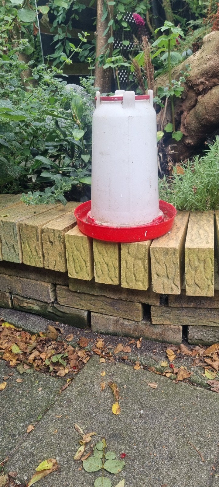 voer of water silo, Dieren en Toebehoren, Ophalen, Drinken en Voederen
