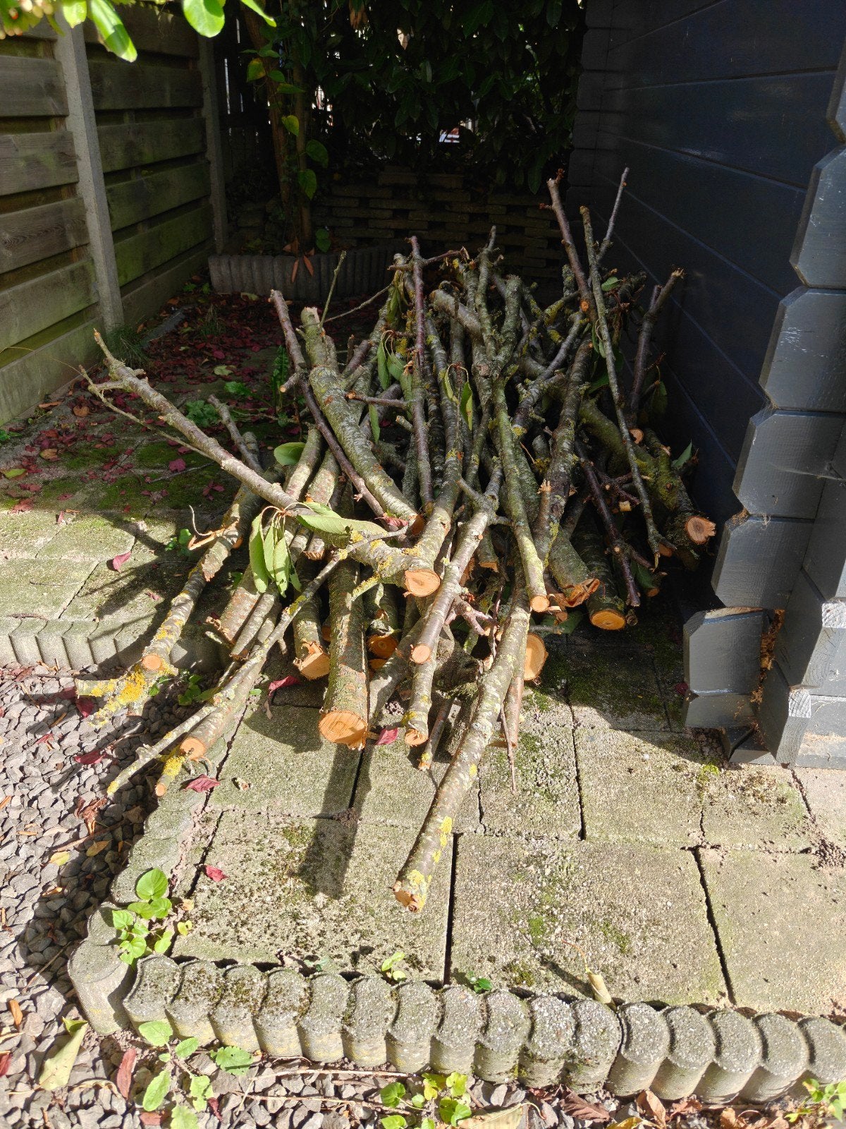 Stapeltje kersenboom hout voor brandhout of tuindecoratie, Minder dan 3 m³, Ophalen, Overige houtsoorten, Takken
