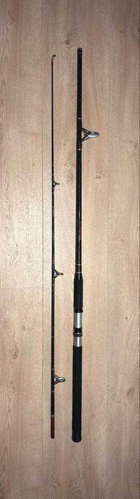 Sterke Snoekhengel 2.70m - 60 gram werpgewicht, Watersport en Boten, Hengelsport | Roofvissen, Ophalen, Gebruikt, Werphengel